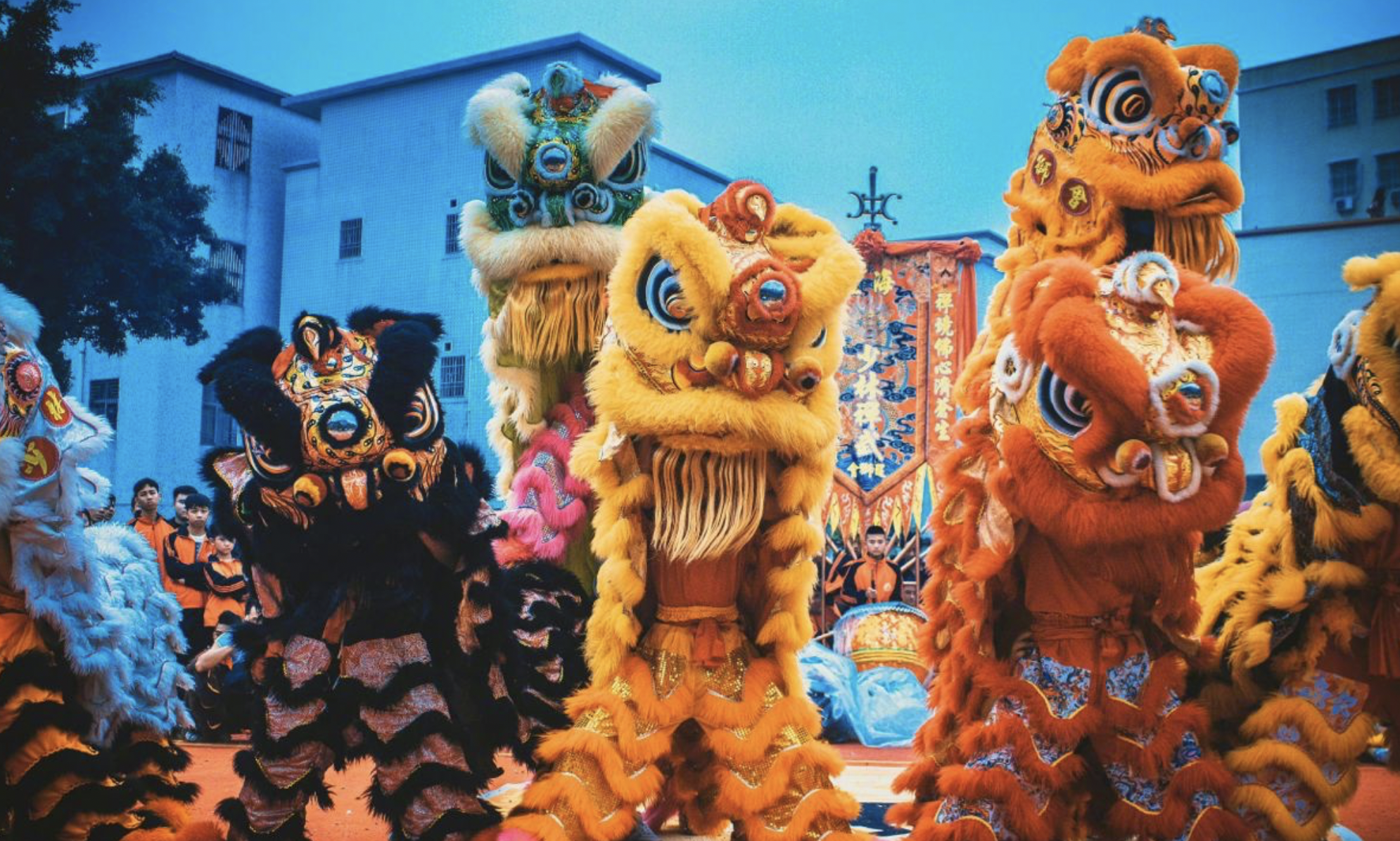 Screenshot 2026-02-06 at 10.31.15 AM